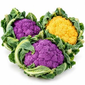 Chou fleur 'Couleurs (violet, vert, orange' (Taille Moyenne)